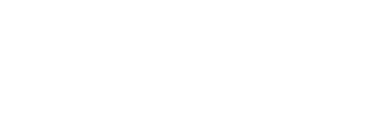 VIG LAND